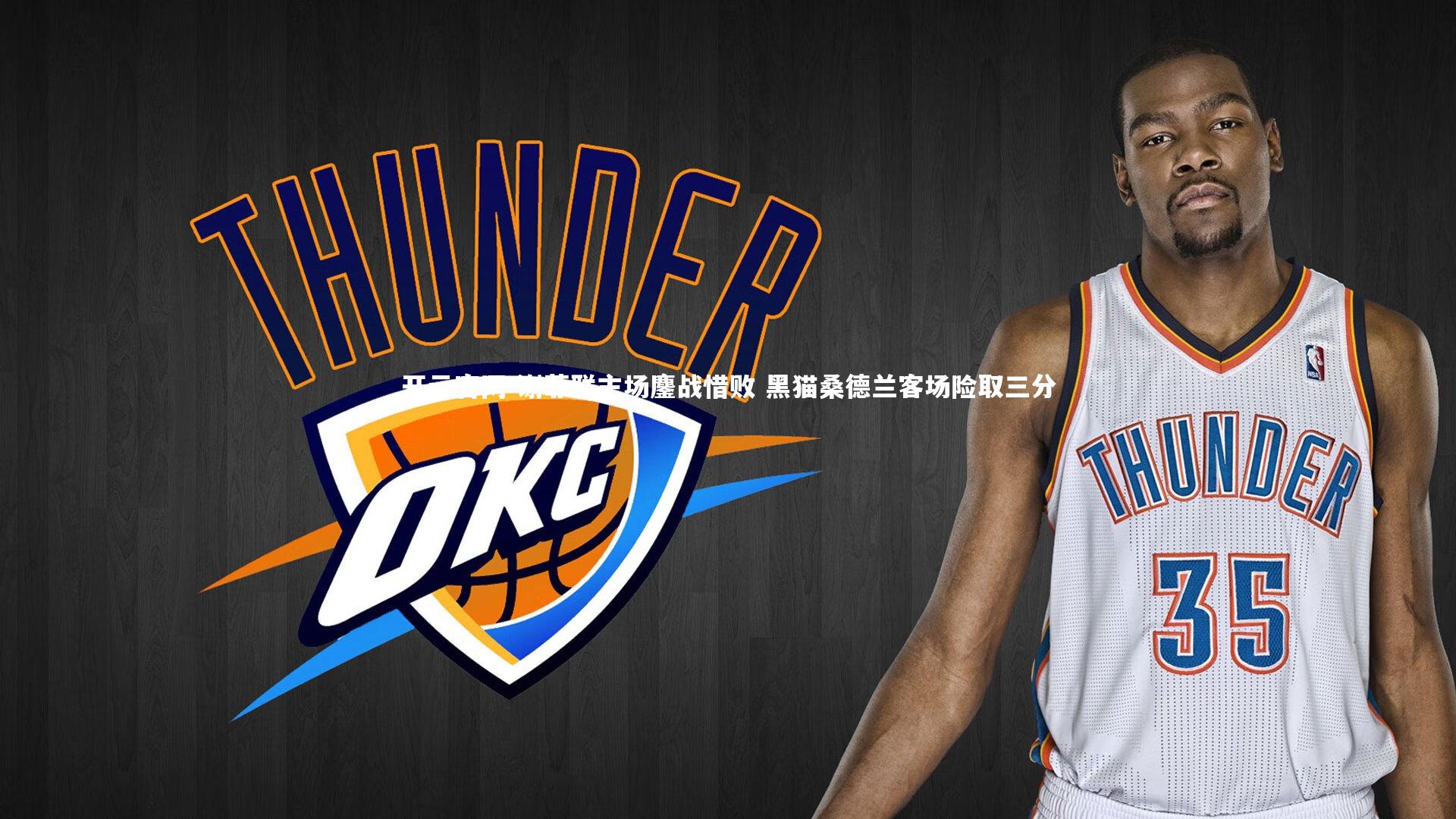 谢菲联主场鏖战惜败 黑猫桑德兰客场险取三分